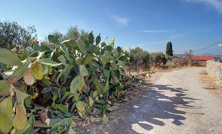 IN THE RESIDENTIAL ZONE SUITABLE FOR A COMPLEX