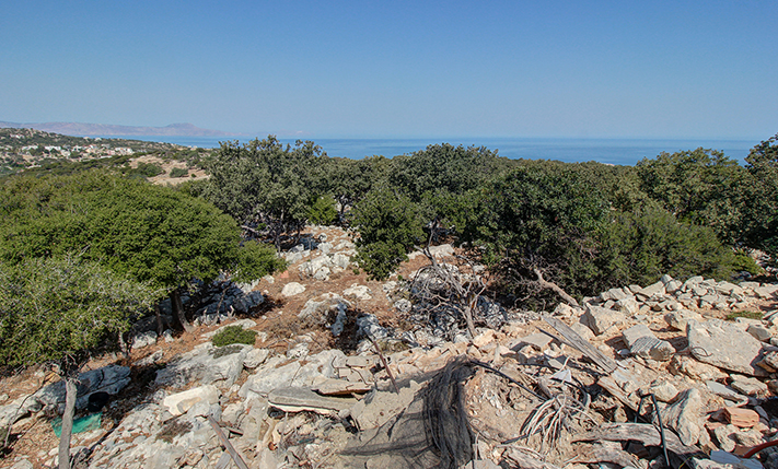 ELEVATED WITH SEA VIEWS OVER THE FOREST