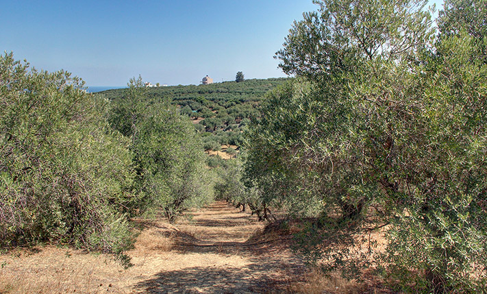 ΠΟΛΥΤΕΛΗΣ ΟΡΘΟΓΩΝΙΑ ΕΚΤΑΣΗ ΜΕ ΘΕΑ ΘΑΛΑΣΣΑ