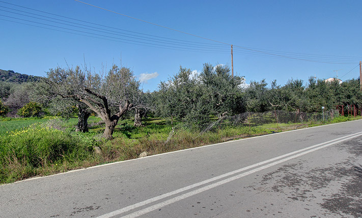 ΟΙΚΟΠΕΔΟ ΠΟΥ ΜΟΙΡΑΖΕΤΑΙ ΜΕ ΥΨΗΛΗ ΔΟΜΗΣΗ