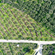PLS1957 - image 28 PLS1957 - image 28