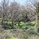 PLS1973 - image 3 PLS1973 - image 3