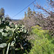 PLS1996 - image 3