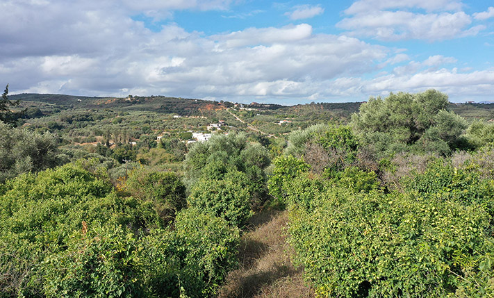 ELEVATED & EASY TO ACCESS THROUGH INTERCHANGE