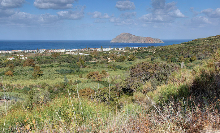 ΧΩΡΑΦΙ ΜΕ ΘΕΑ ΣΕ ΕΛΑΙΩΝΕΣ