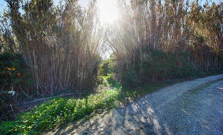 ΣΤΟΝ ΚΟΜΒΟ ΠΛΑΤΑΝΙΑ ΜΕ ΕΥΚΟΛΕΣ ΠΡΟΣΒΑΣΕΙΣ
