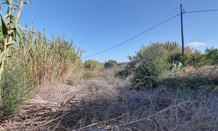 ALTERNATIVE ACCESS AND DEVELOPMENT POTENTIALS