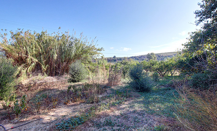 ALTERNATIVE ACCESS AND DEVELOPMENT POTENTIALS