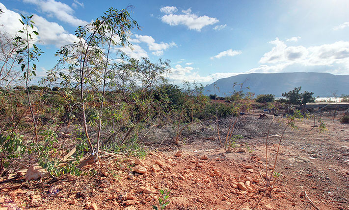 SECURED VIEWS & BUILDING ALLOWANCE