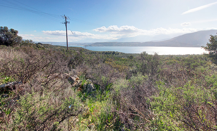 ΠΟΛΥΤΕΛΗΣ ΕΚΤΑΣΗ ΒΟΡΕΙΟΑΝΑΤΟΛΙΚΑ ΤΗΣ ΠΟΛΗΣ