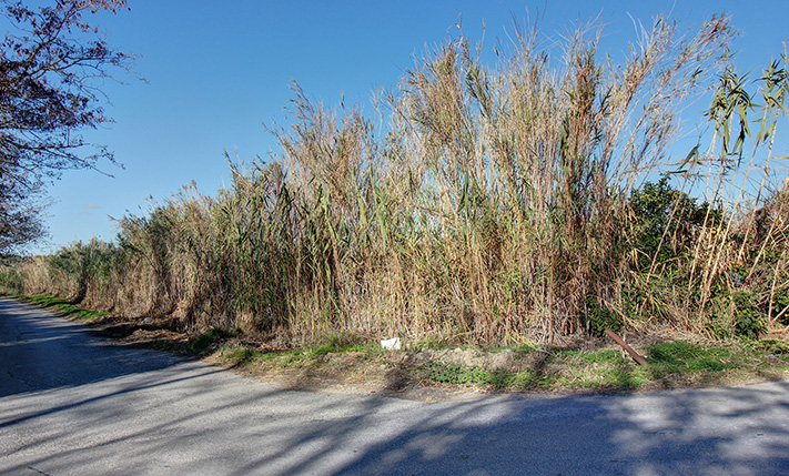 ΓΩΝΙΑΚΟ, ΚΑΤΑΛΛΗΛΟ ΓΙΑ ΣΤΑΘΜΕΥΣΗ Η ΚΑΛΛΙΕΡΓΕΙΑ