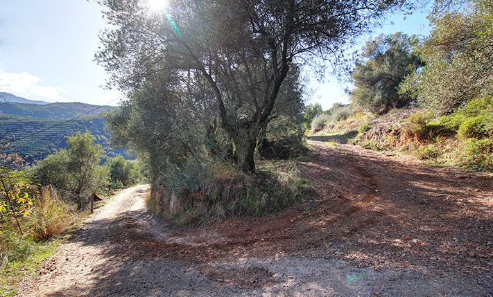 LAND ON A SOUTHEAST FACING SLOPE IN NATURE