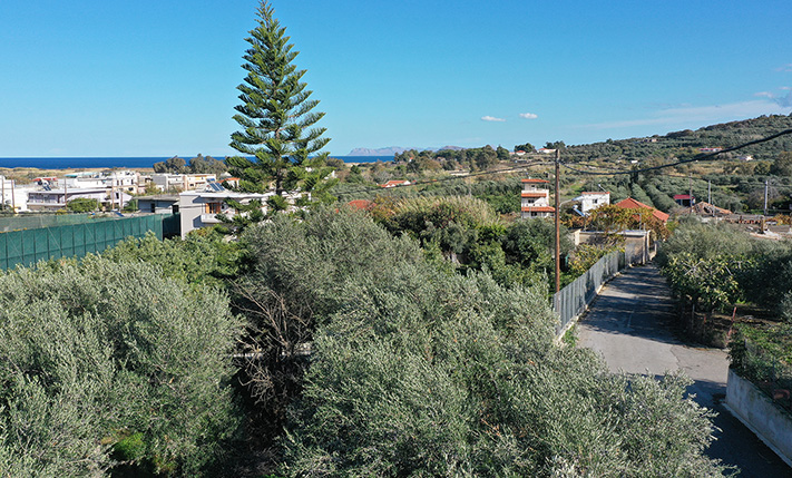 ΜΕΓΑΛΗ ΝΟΤΙΑ ΟΨΗ & ΠΛΑΓΙΑ ΘΕΑ ΘΑΛΑΣΣΑ