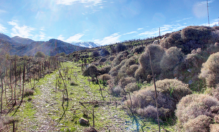ΘΕΑ ΑΠΟ ΤΗΝ ΚΟΡΥΦΗ ΣΕ ΒΟΥΝΟ & ΘΑΛΑΣΣΑ