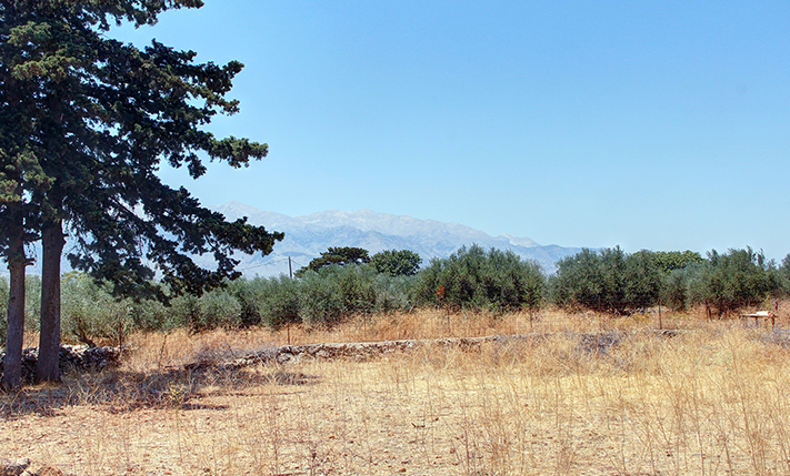 ΚΑΤΑΛΛΗΛΟ ΓΙΑ ΑΝΕΞΑΡΤΗΤΕΣ ΚΑΤΟΙΚΙΕΣ ΜΕ ΚΗΠΟ