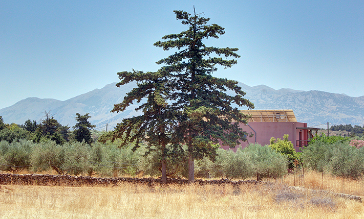 ΚΑΤΑΛΛΗΛΟ ΓΙΑ ΑΝΕΞΑΡΤΗΤΕΣ ΚΑΤΟΙΚΙΕΣ ΜΕ ΚΗΠΟ