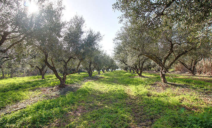 3 LARGE FRONTS & UNOBSTRUCTED SEA VIEWS