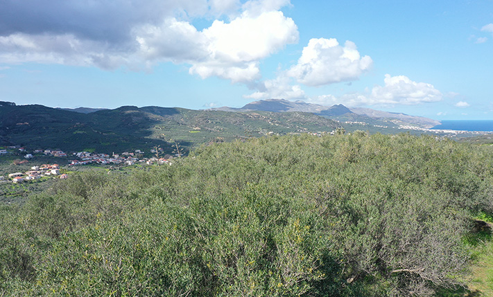 RIDGE-TOP LAND WITH UPPER-FLOOR VIEWS