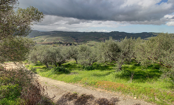RIDGE-TOP LAND WITH UPPER-FLOOR VIEWS