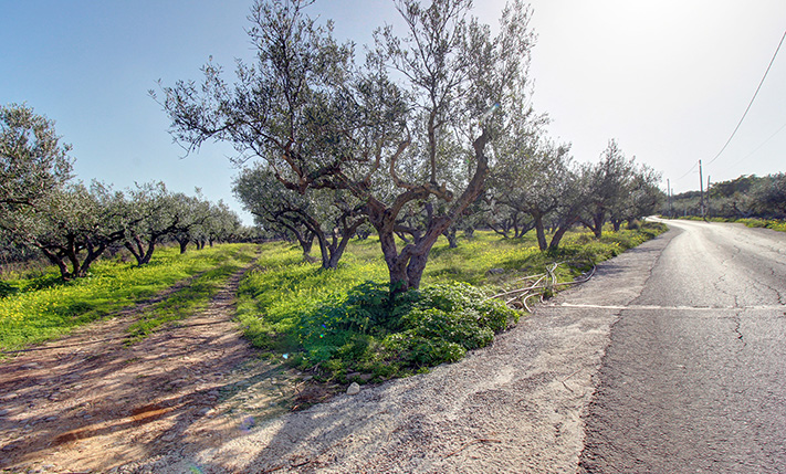 DEVELOPMENT PARCEL IN AN UPCOMING LOCATION