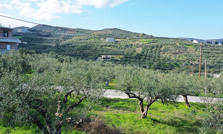 ENTWICKLUNGSGRUNDSTÜCK IN AUFSTREBENDER LAGE