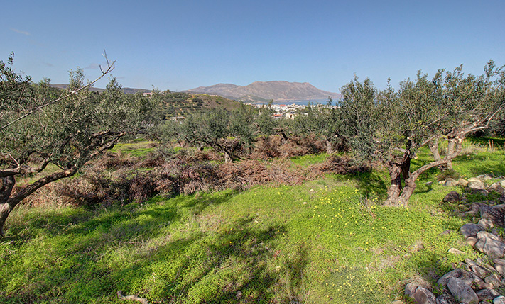 DEVELOPMENT PARCEL IN AN UPCOMING LOCATION