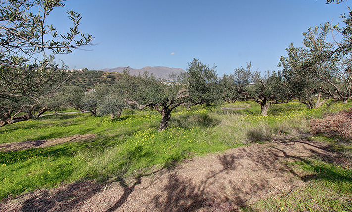 DEVELOPMENT PARCEL IN AN UPCOMING LOCATION