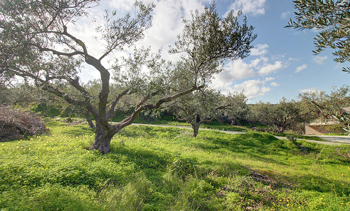 DEVELOPMENT PARCEL IN AN UPCOMING LOCATION