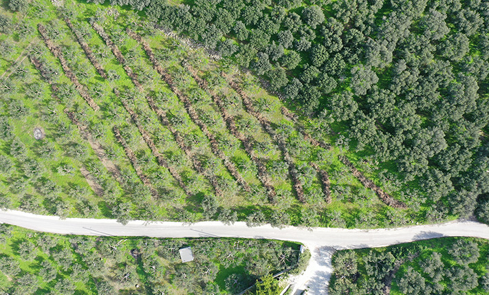 DEVELOPMENT PARCEL IN AN UPCOMING LOCATION