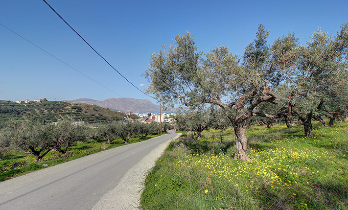 DEVELOPMENT PARCEL IN AN UPCOMING LOCATION