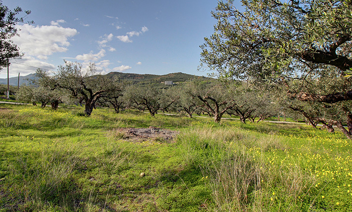 DEVELOPMENT PARCEL IN AN UPCOMING LOCATION
