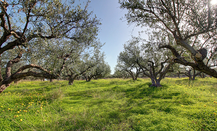 DEVELOPMENT PARCEL IN AN UPCOMING LOCATION