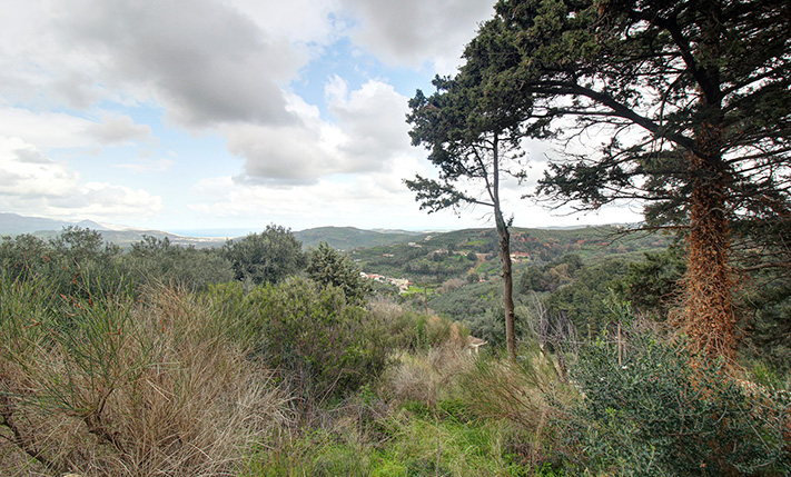 UNOBSTRUCTED SEA VIEWS AT AN AFFORDABLE PRICE