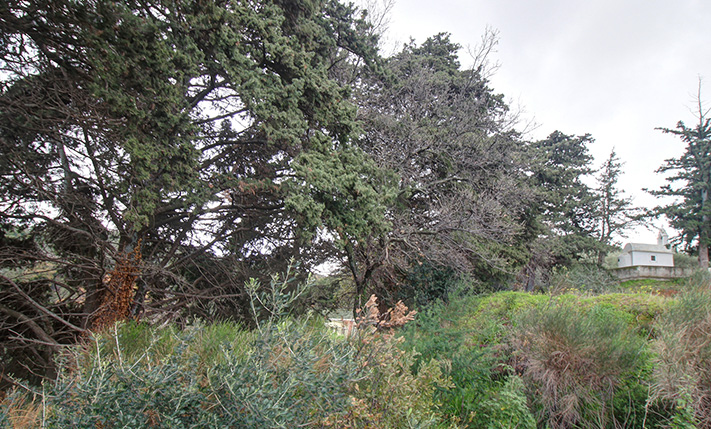 UNOBSTRUCTED SEA VIEWS AT AN AFFORDABLE PRICE