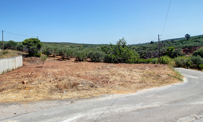 ΣΤΗΝ ΕΙΣΟΔΟ ΤΟΥ ΧΩΡΙΟΥ ΜΕ ΘΕΑ ΣΤΟΥΣ ΕΛΑΙΩΝΕΣ