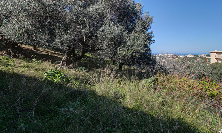 SEA VIEWS FROM A PLOT NEAR & WEST OF THE CITY