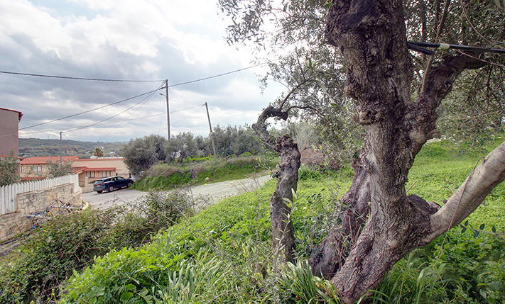 ΜΕΓΑΛΗ ΠΡΟΣΟΨΗ, ΘΕΑ ΚΑΙ ΚΟΝΤΑ ΣΤΗ ΘΑΛΑΣΣΑ