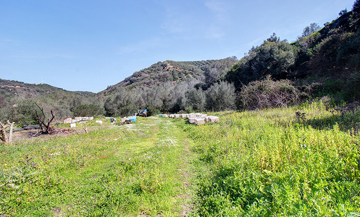 ΕΝΑ ΑΠΟΜΟΝΩΜΕΝΟ ΞΕΦΩΤΟ ΣΤΗ ΦΥΣΗ