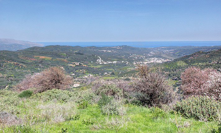 ΜΙΑ ΚΟΡΥΦΗ ΛΟΦΟΥ ΜΕ ΕΞΑΙΡΕΤΙΚΕΣ ΠΡΟΟΠΤΙΚΕΣ
