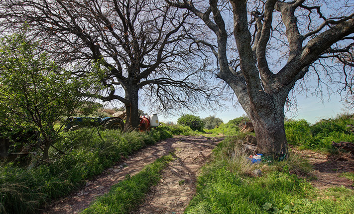 A HILLTOP WITH EXCEPTIONAL POTENTIAL