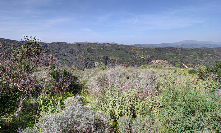ΜΙΑ ΚΟΡΥΦΗ ΛΟΦΟΥ ΜΕ ΕΞΑΙΡΕΤΙΚΕΣ ΠΡΟΟΠΤΙΚΕΣ