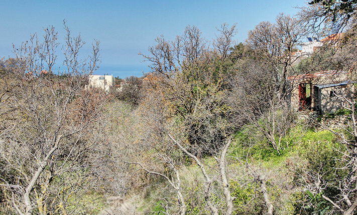 WEST SLOPE WITH VIEWS OVER A LUSH STREAM