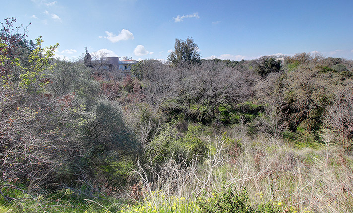 WEST SLOPE WITH VIEWS OVER A LUSH STREAM