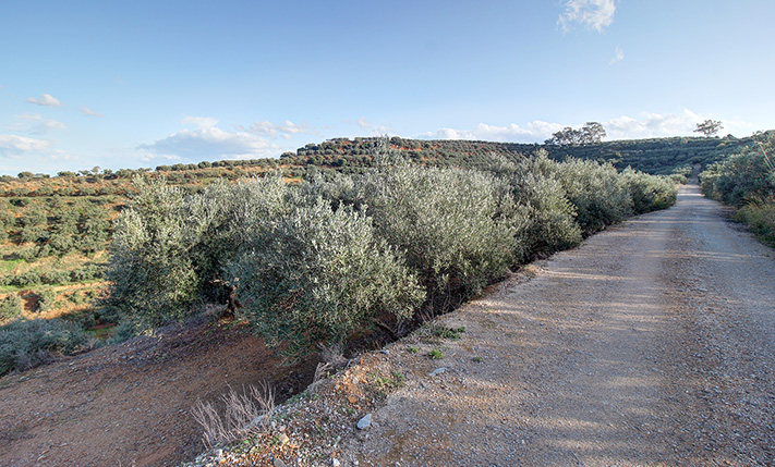 TERRASSENFÖRMIGER HANG & ATEMBERAUBENDE SICHT