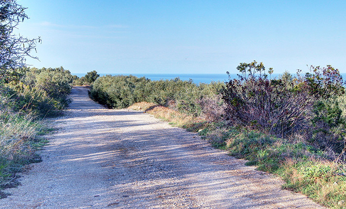 A TERRACED SLOPE WITH STUNNING VIEWS