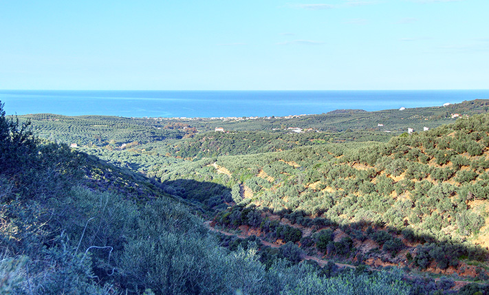 A TERRACED SLOPE WITH STUNNING VIEWS