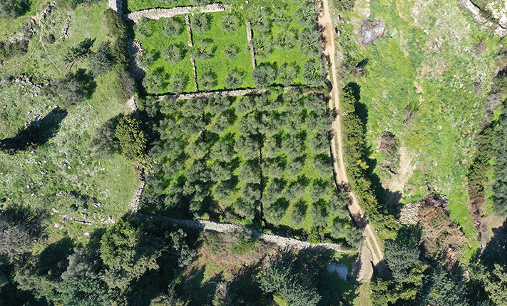 ΤΡΕΙΣ ΕΠΙΠΕΔΕΣ ΑΝΑΒΑΘΜΙΔΕΣ ΜΕ ΠΑΝΟΡΑΜΙΚΗ ΘΕΑ