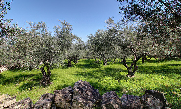 ΤΡΕΙΣ ΕΠΙΠΕΔΕΣ ΑΝΑΒΑΘΜΙΔΕΣ ΜΕ ΠΑΝΟΡΑΜΙΚΗ ΘΕΑ