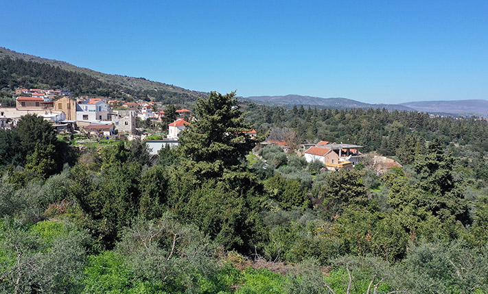 ΜΕΓΑΛΗ ΝΟΤΙΑ ΟΨΗ & ΘΕΑ ΕΠΑΝΩ ΑΠΟ ΤΟ ΧΩΡΙΟ