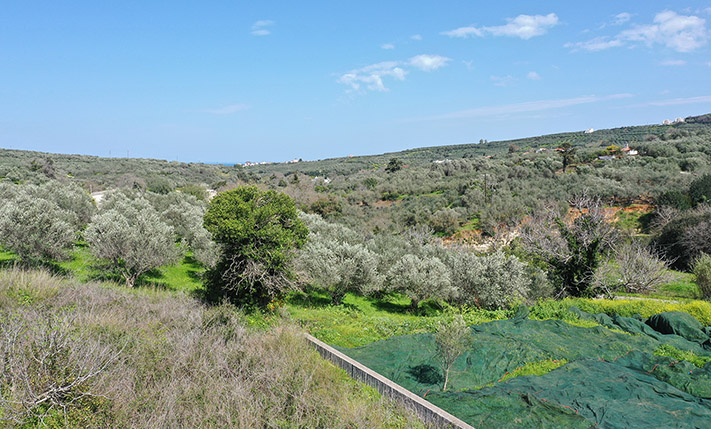 ΚΑΘΕΤΗ ΕΠΙ ΟΙΚΟΠΕΔΟΥ ΣΕ ΟΙΚΙΣΜΟ
